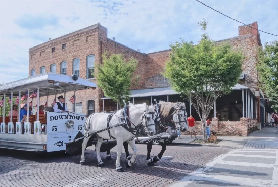 Discovering Wilmington, NC: A Charming Coastal City with a Vibrant Climate